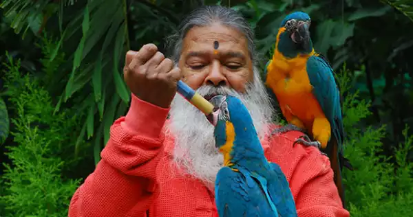  Take a tour of India’s record-breaking aviary